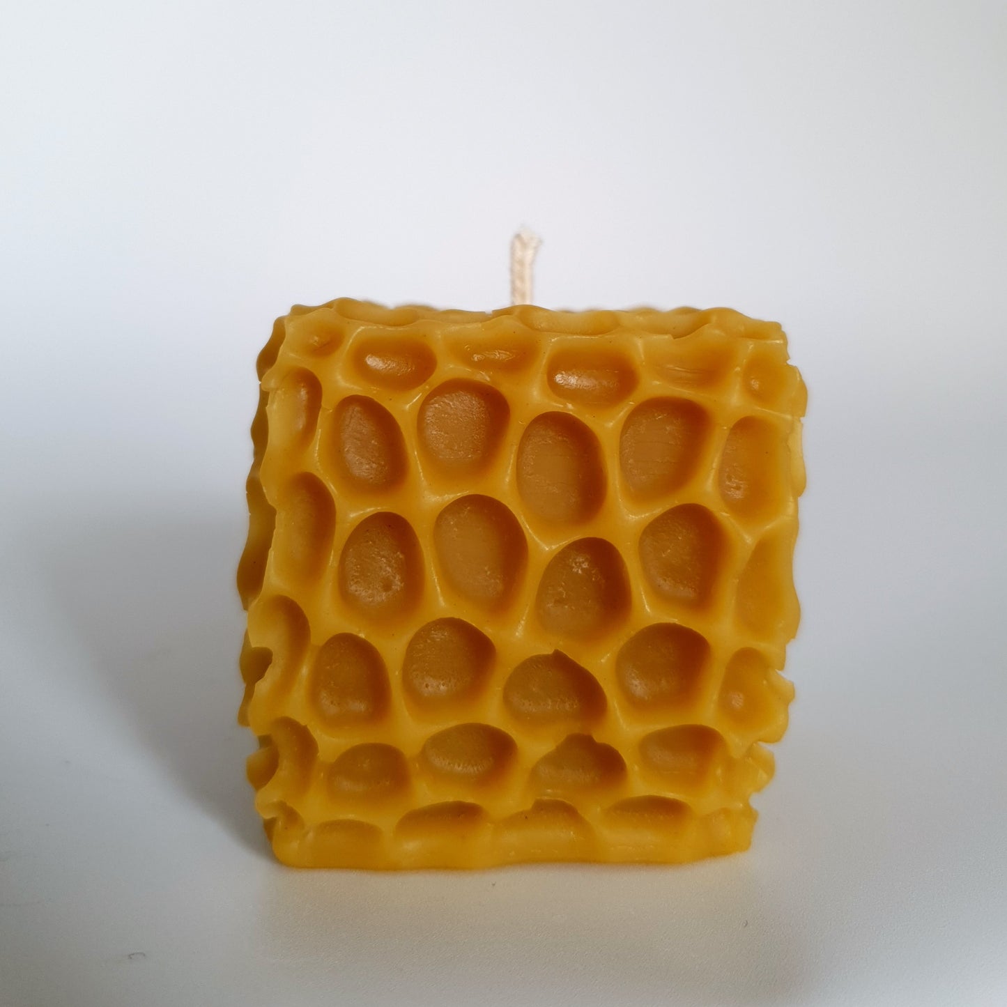 Coral box candle